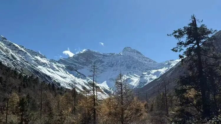 四川天府邻里创业促进会秋日之旅：九寨黄龙共赏美景，交流共创同绘蓝图