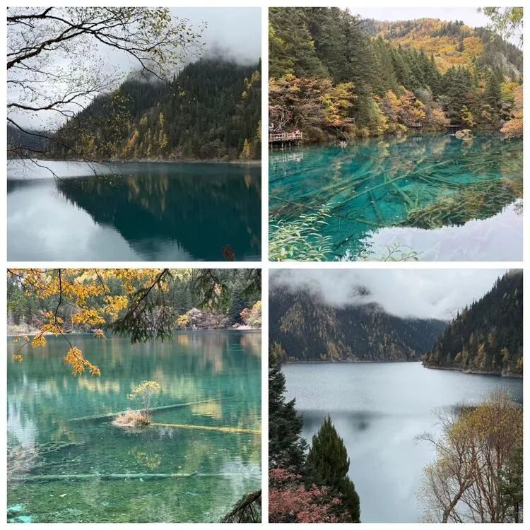 四川天府邻里创业促进会秋日之旅：九寨黄龙共赏美景，交流共创同绘蓝图