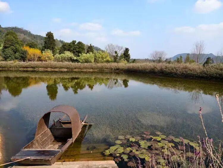 走进诗意栖居地,共探疗愈产业未来 | 天府邻里创业沙龙第103期圆满举行